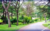 Туры в отель Toscana Wellness Resort