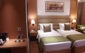 Туры в отель Sarovar Portico Sonipat
