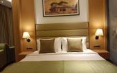 Туры в отель Sarovar Portico Sonipat