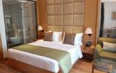 Туры в отель Sarovar Portico Sonipat
