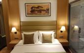 Туры в отель Sarovar Portico Sonipat