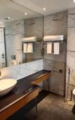 Туры в отель Sarovar Portico Sonipat