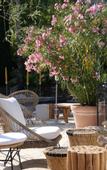 Туры в отель Hotel La Piscine