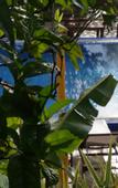 Туры в отель Hotel La Piscine