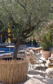 Туры в отель Hotel La Piscine