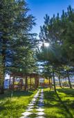 Туры в отель Grand Hotel Terme