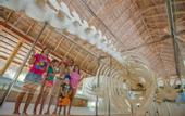 Туры в отель Kuramathi Island Maldives