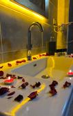 Туры в отель Zirve Suit Rezidans