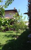 Туры в отель B&B Villa Bucceri