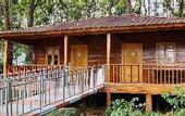 Туры в отель Regenta Resort Sakleshpur