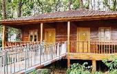 Туры в отель Regenta Resort Sakleshpur