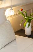 Туры в отель Costamante Suites & Spa