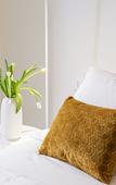 Туры в отель Costamante Suites & Spa