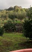 Туры в отель Finca El Pastel