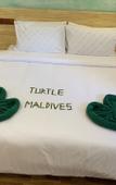 Туры в отель Turtle Maldives