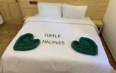 Туры в отель Turtle Maldives