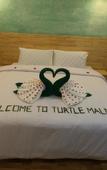 Туры в отель Turtle Maldives