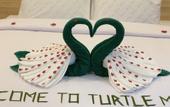 Туры в отель Turtle Maldives