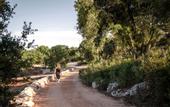 Туры в отель Masseria Auraterrae
