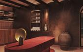 Туры в отель Gran Hotel Mas d' en Bruno