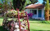 Туры в отель Kustur Club Holiday Village