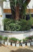 Туры в отель Didas Villa