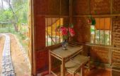 Туры в отель Hue Lotus Homestay
