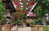 Туры в отель Hue Lotus Homestay