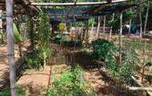 Туры в отель Hue Lotus Homestay