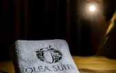 Туры в отель Olea Suites Otel