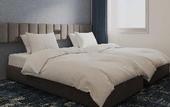 Туры в отель Prince Smart Inn Miyazaki