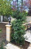 Туры в отель La Maison Charentonneau