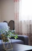 Туры в отель La Maison Charentonneau