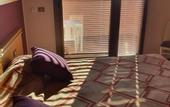 Туры в отель Hotel Antares