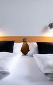 Туры в отель Stadthotel Freilassing