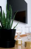 Туры в отель Stadthotel Freilassing