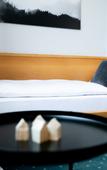 Туры в отель Stadthotel Freilassing