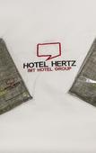 Туры в отель Incheon Hertz