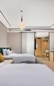 Туры в отель Hilton Garden Inn Zigong High-Tech Zone