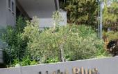 Туры в отель Light Blue Luxury Rooms