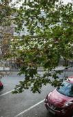 Туры в отель Hotel Atrium