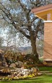 Туры в отель Agriturismo Le Tese