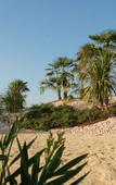 Туры в отель Agriturismo Le Tese
