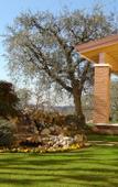 Туры в отель Agriturismo Le Tese