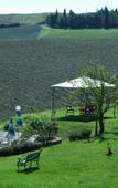 Туры в отель Agriturismo San Giorgio