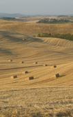 Туры в отель Agriturismo San Giorgio