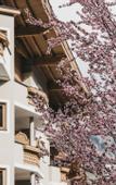 Туры в отель VAYA Zillertal