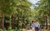 Туры в отель Le Cappuccinelle Suites&SPA