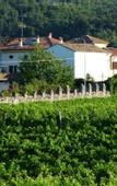 Туры в отель Agriturismo Grillo Iole