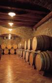 Туры в отель Agriturismo Grillo Iole
